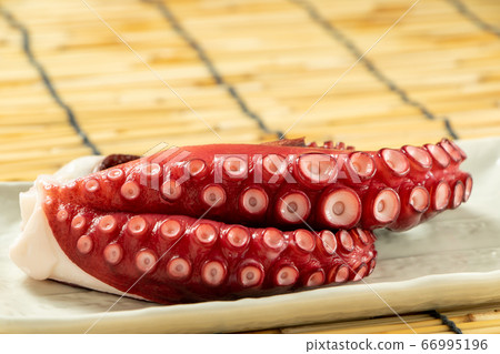 Octopus. Background, blinds. 66995196