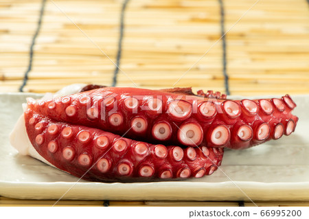 Octopus. Background, blinds. 66995200