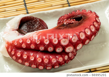 Octopus. Background, blinds. 66995201