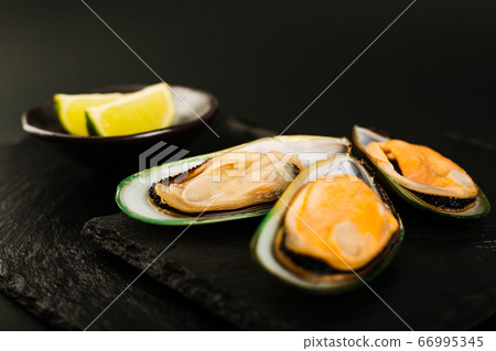 New Zealand greenshell mussels 66995345