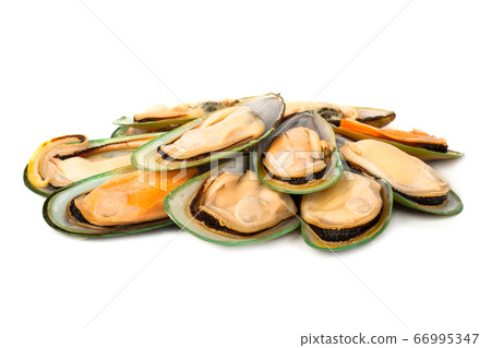 New Zealand greenshell mussels New Zealand greenshell mussels 66995347