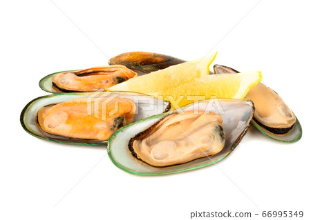 New Zealand greenshell mussels New Zealand greenshell mussels 66995349