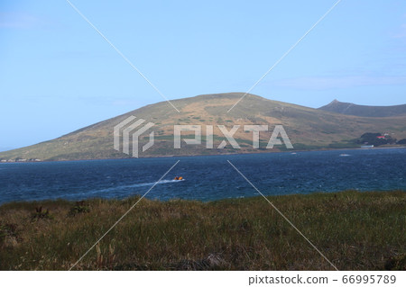 Carcass island landscape 66995789