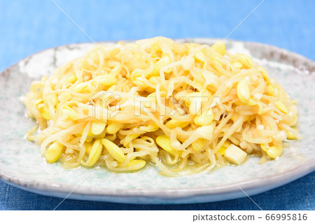 豆芽Namuru 66995816