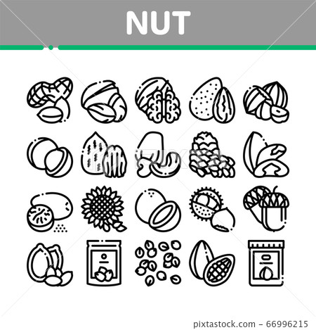 Nut Food Different Collection Icons Set Vector Nut Food Different Collection Icons Set Vector 66996215