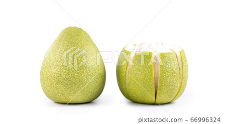 Pomelo mid-autumn festival white background go back pomelo isolated clipping path 切り抜き 66996324