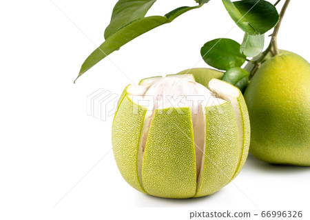 Pomelo mid-autumn festival white background go back pomelo isolated clipping path 切り抜き 66996326