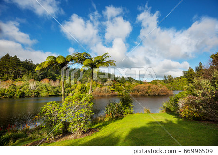 Mangamahoe lake 66996509