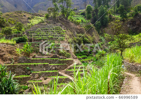 Paul Valley landscape in Santo Antao island, Cape Paul Valley landscape in Santo Antao island, Cape 66996589