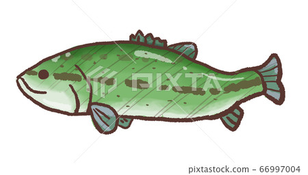 R: fairy tale aquarium exotic black bus 2 66997004