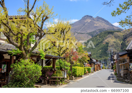 Oita Prefecture Fresh Green Yufuin Yufudake and Yunotsubo Kaido Oita Prefecture Fresh Green Yufuin Yufudake and Yunotsubo Kaido 66997100