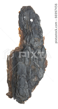 Burnt pine bark isolated on white background 66997456