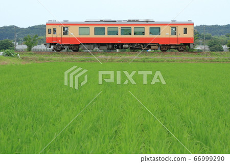 Tenryu Hamanako鐵路“ JNR” DC_2020 / 6/27圖片 66999290