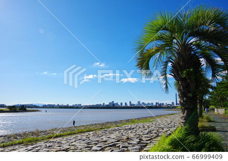 Kasai Rinkai Park (Edogawa-ku, Tokyo) 66999409