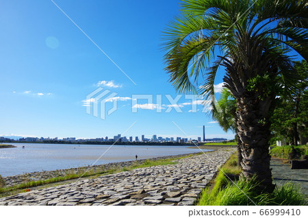 Kasai臨海公園 66999410