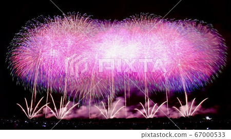 煙花紫色 煙花紫色 67000533