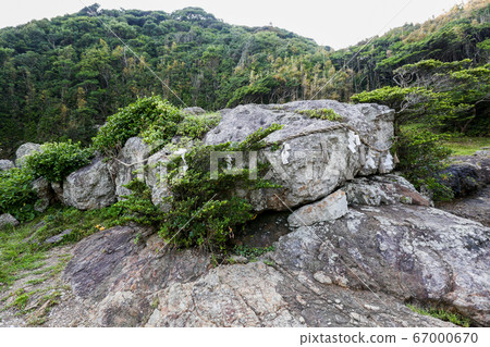 宮崎縣日向市近江神社沙撒石 宮崎縣日向市近江神社沙撒石 67000670
