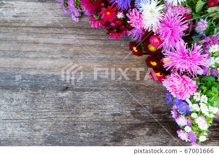 Sunflowers on white 67001666
