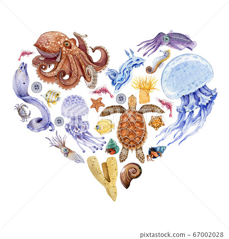 Coral reef sea animals heart shape illustration. Coral reef sea animals heart shape illustration. 67002028