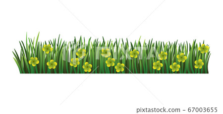 Green grass border. Fresh green floral grass. Isolated on transparent background. Vector Illustration for use as design element Green grass border. Fresh green floral grass. Isolated on transparent background. Vector Illustration for use as design element 67003655