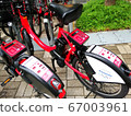 Bicycle rental 67003961