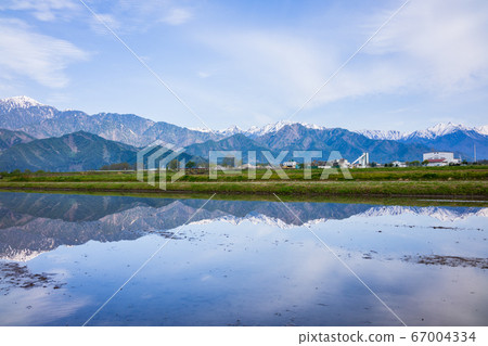 稻田和北阿爾卑斯山[初夏的安zu野市] 67004334