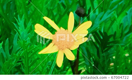 花 花 67004722