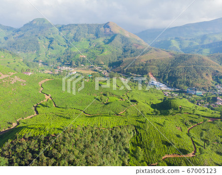Aerial view of tea plantations near the city of Munar. India. 67005123