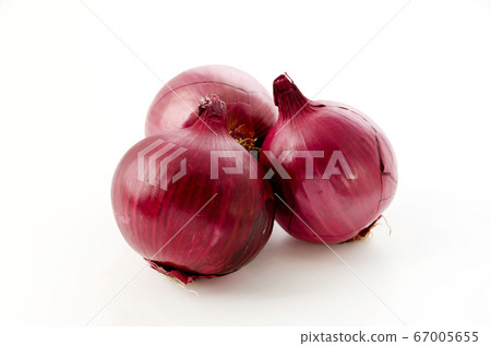 紅洋蔥 67005655