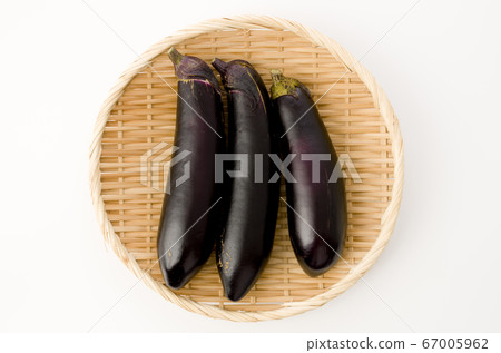 茄子 茄子 67005962