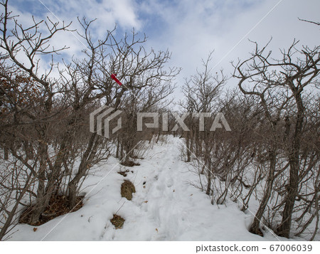 Dutasan Winter, Samhwa-dong, Donghae-si, Gangwon-do, Korea 67006039