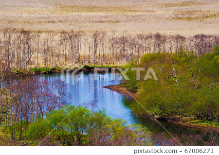 Kushiro moor in spring Kushiro moor in spring 67006271