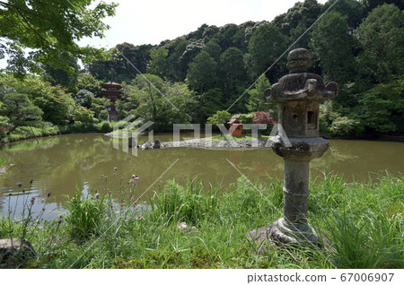 Joruriji Temple with a view of the triple tower from the main hall 67006907