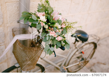 bridal bouquet of pink roses, branches of eucalyptus tree, capsella and white ribbons on the bicycle bridal bouquet of pink roses, branches of eucalyptus tree, capsella and white ribbons on the bicycle 67007174