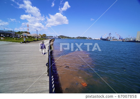 A child watching the red tide A child watching the red tide 67007858