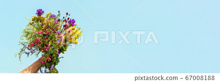 Female hand holds bright colorful bouquet of wild 67008188