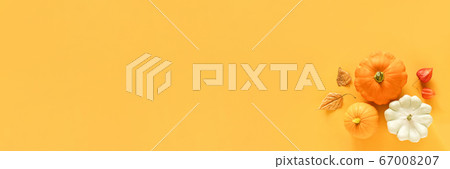 Autumn composition. Fresh three pattypan squash, 67008207