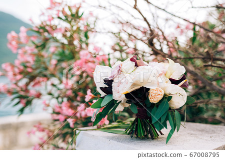 bridal bouquet of white and pink peonies, roses, branches of eucalyptus tree, calla lilies and decorative artichoke the pink oleander bush 67008795