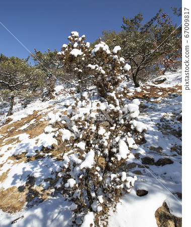 Bibong, Hyangnobong, Bukhansan, Gugi-dong, Jongno-gu, Seoul, Korea Bibong, Hyangnobong, Bukhansan, Gugi-dong, Jongno-gu, Seoul, Korea 67009817