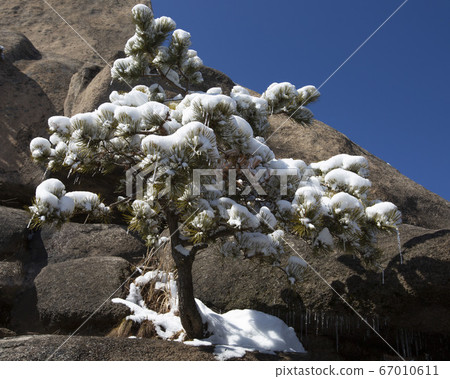 首爾市鐘路區九木洞，北漢山，奉峰，鳳峰峰 67010611