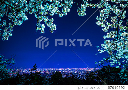 大阪機場寶塚中山櫻大公園夜櫻與美景 67010692