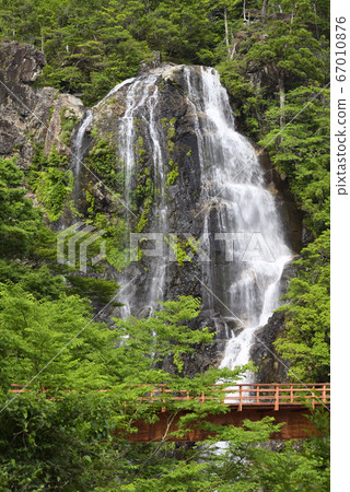 不動瀑布(奈良縣吉野郡上北山村) 不動瀑布(奈良縣吉野郡上北山村) 67010876
