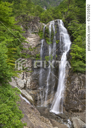 不動瀑布(奈良縣吉野郡上北山村) 不動瀑布(奈良縣吉野郡上北山村) 67010892