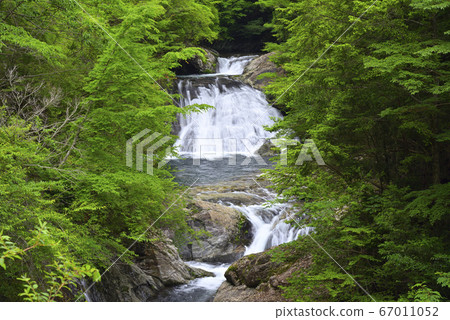 Onabe-Konabe Waterfall (Kamikitayama Village, Yoshino-gun, Nara Prefecture) Onabe-Konabe Waterfall (Kamikitayama Village, Yoshino-gun, Nara Prefecture) 67011052
