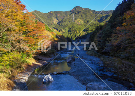 Autumn leaves of the Mitake Valley, the scenery upstream from the Shinji Bridge 67011053