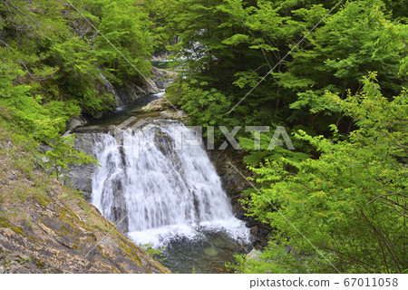 Onabe-Konabe Waterfall (Kamikitayama Village, Yoshino-gun, Nara Prefecture) Onabe-Konabe Waterfall (Kamikitayama Village, Yoshino-gun, Nara Prefecture) 67011058