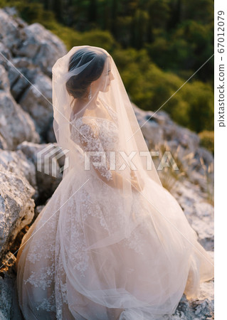 Close-up portrait of a bride covered with a veil. Fine-art destination wedding photo in Montenegro, Mount Lovchen. 67012079