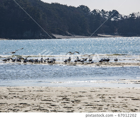 Seonje, Yeongheung-do, Yeongheung-myeon, Woongjin-gun, Incheon, Korea Seonje, Yeongheung-do, Yeongheung-myeon, Woongjin-gun, Incheon, Korea 67012202