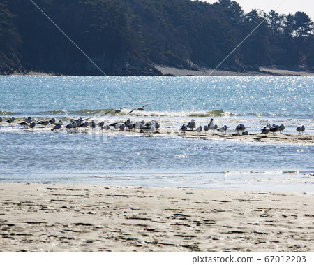 仁川郡翁津郡永興面永興面善濟 67012203