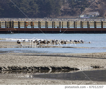 Seonje, Yeongheung-do, Yeongheung-myeon, Woongjin-gun, Incheon, Korea Seonje, Yeongheung-do, Yeongheung-myeon, Woongjin-gun, Incheon, Korea 67012207